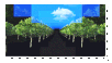 rows of trees